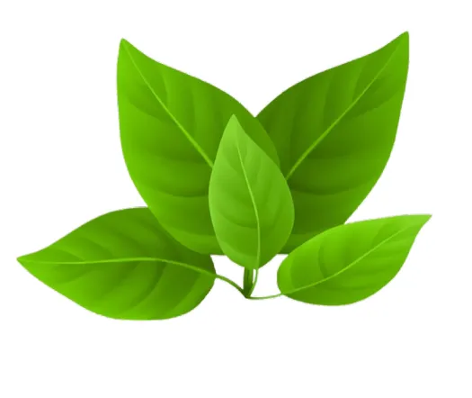 Service Icon